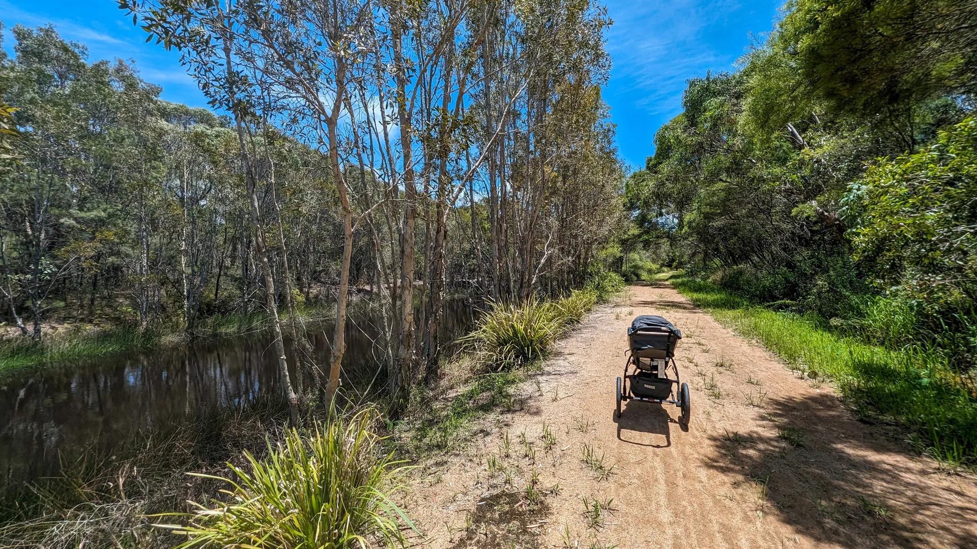 Lamerough Creekside Walk, Pelican Waters