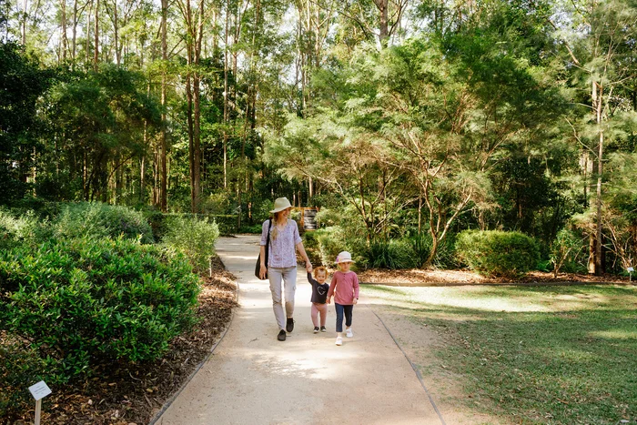 Maroochy Bushland BG pathway and visitors