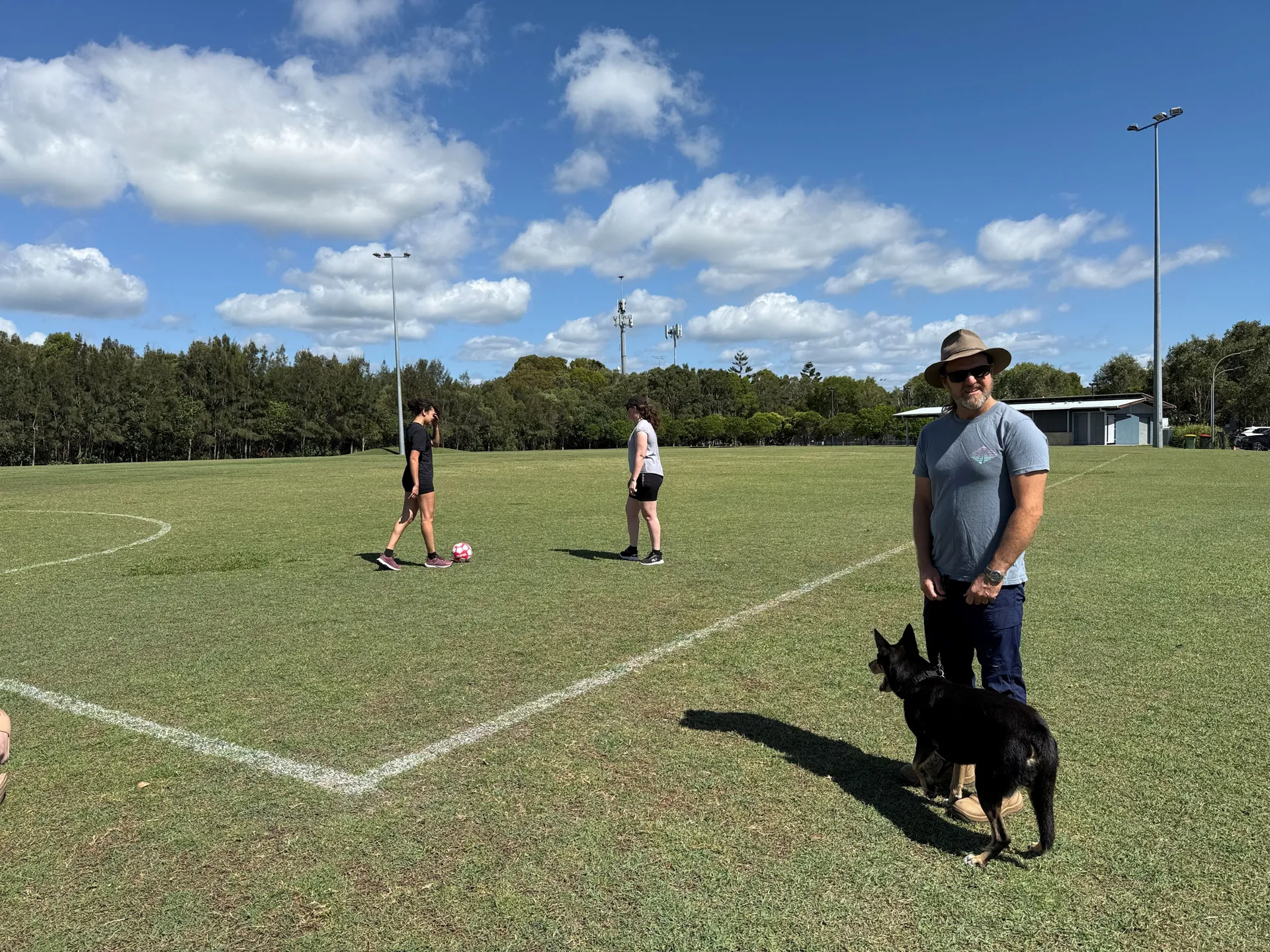 dog on leash at sports field with people playing soccer