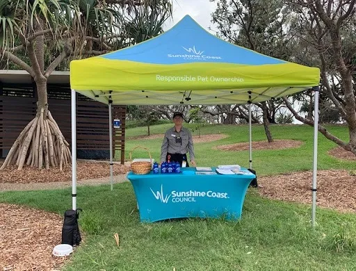 Pop-Up-Ballinger-Beach.jpg