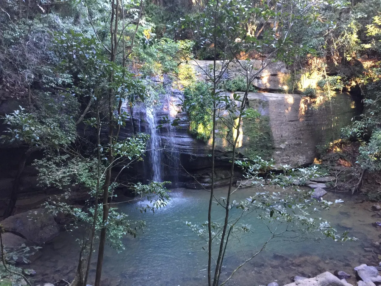18821_Buderim%20Forest%20Falls%20Loop%20%20IMG_2176.jpg