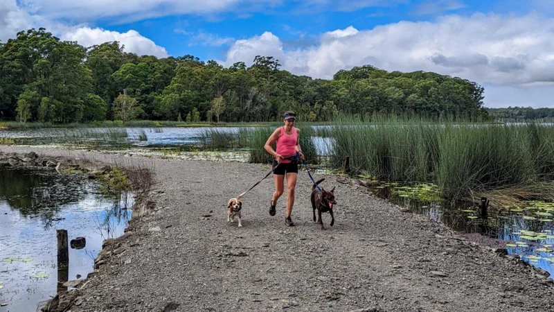 Lady with her dogs on-lead at Ewen Maddock Dam