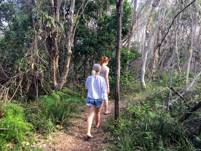 Lake Currimundi (Kathleen McArthur) Conservation Park circuit