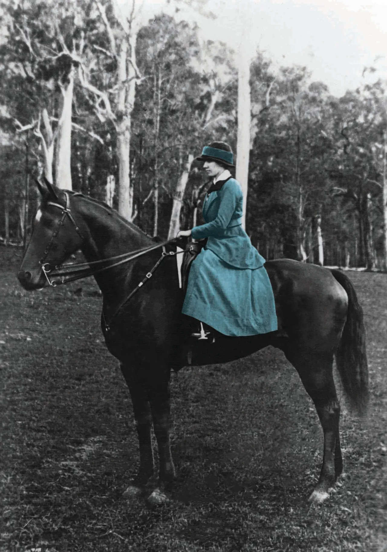 Ann-Morschel-nee-Miller-on-a-horse-called-Tarcoola_Eumundi_c1930.jpg