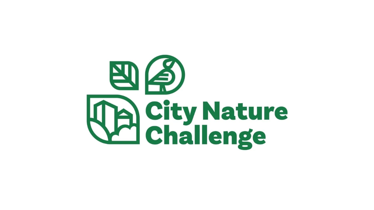 City%20Nature%20challenge.png