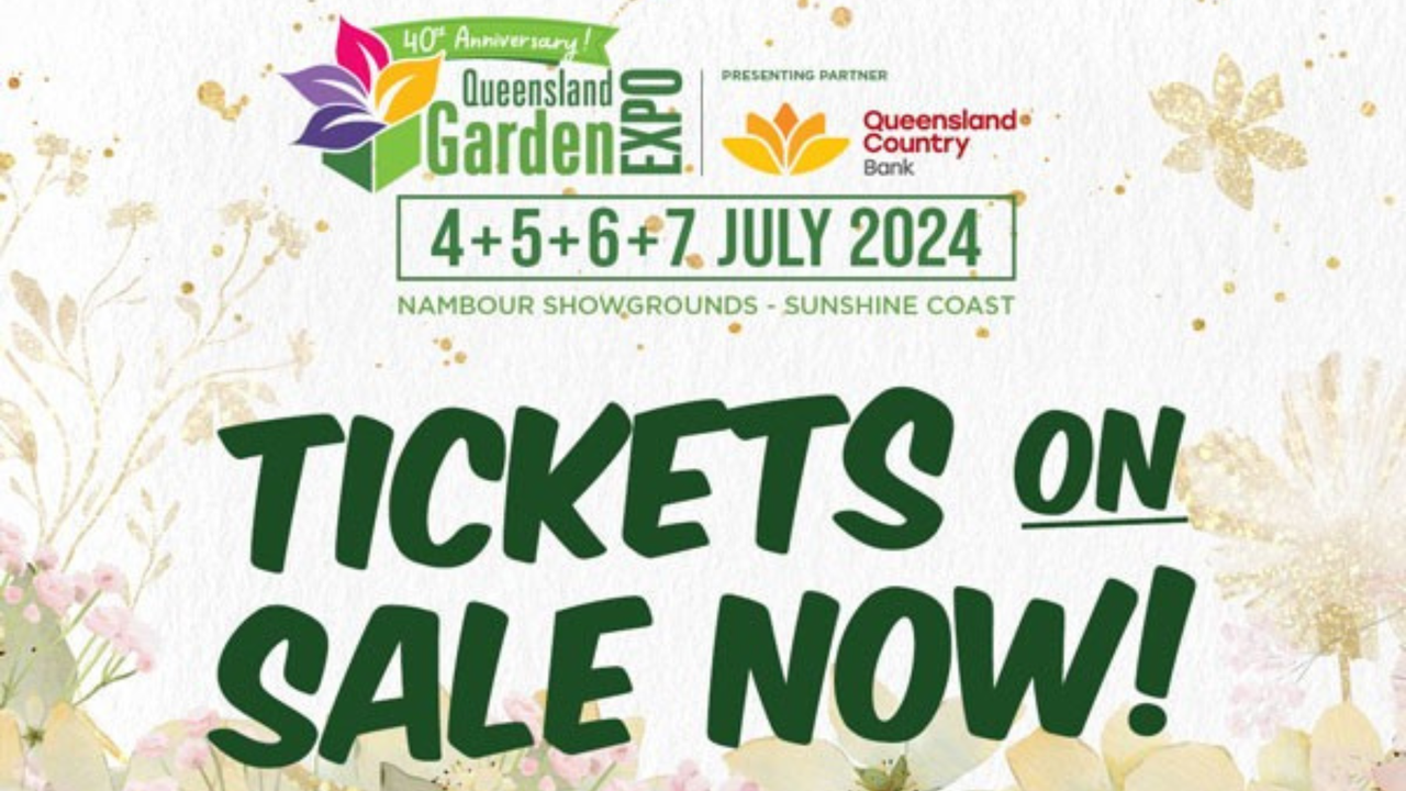 QGE%20tix%20on%20sale.png