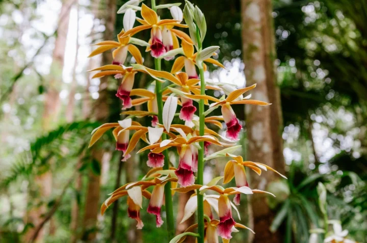 Learn - Play - Relax