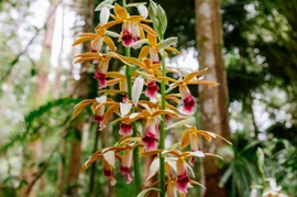 Learn - Play - Relax