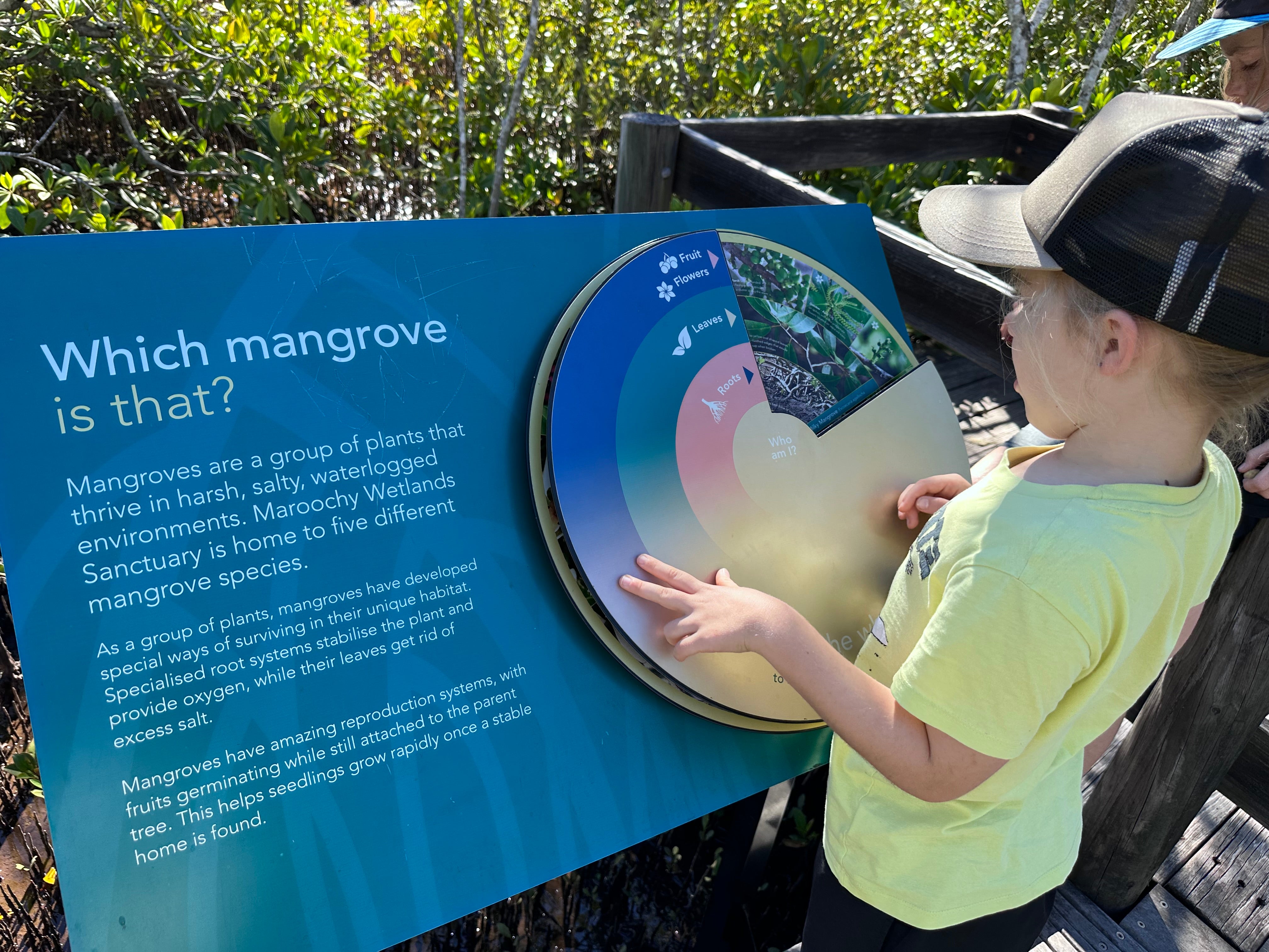 Maroochy%20Wetlands%20Sanctuary%20%2823%29.JPG