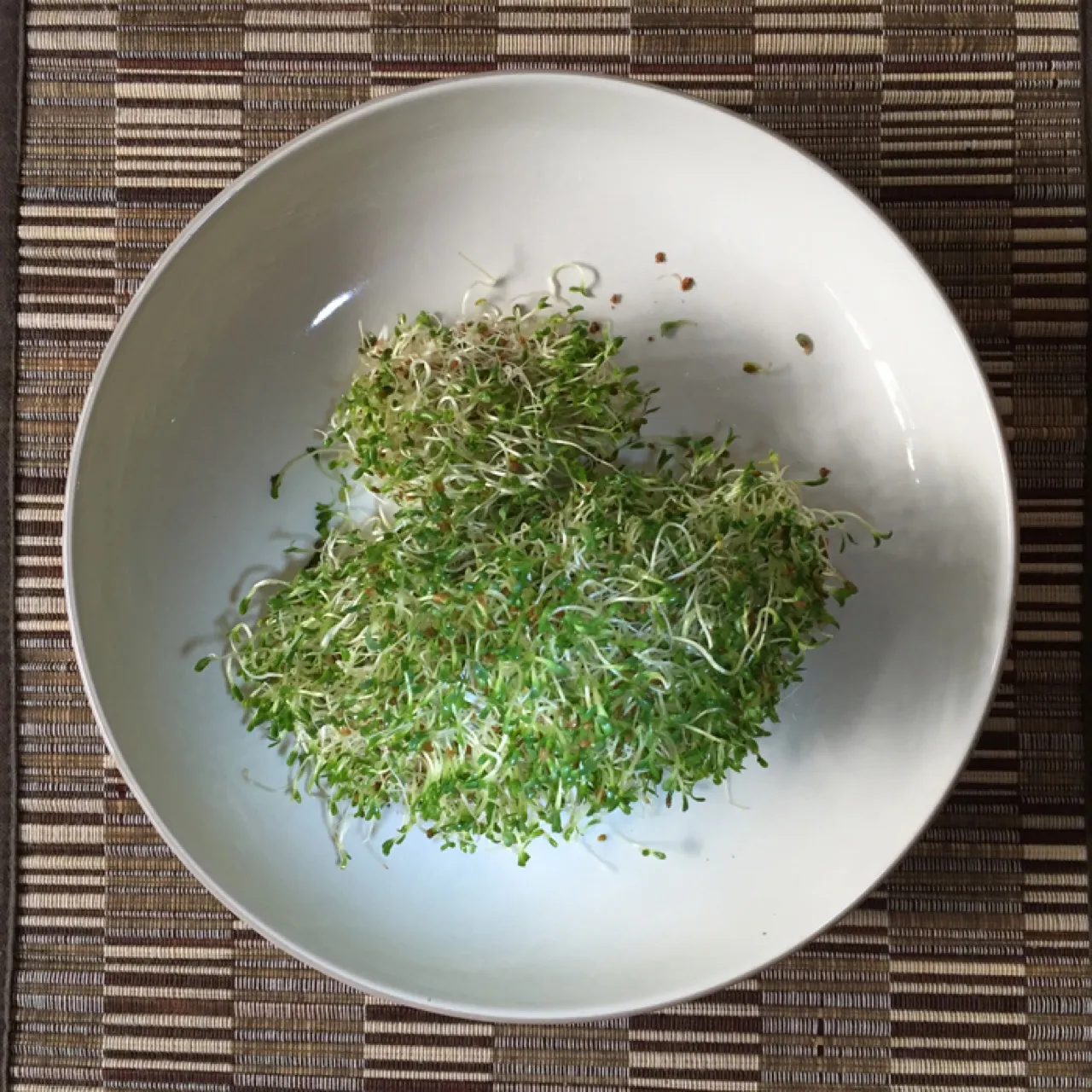 Sprouts ready to eat