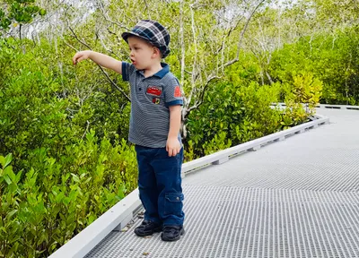 Young boy drops a mangrove seed off the Maroochy Wetlands Boardwalk