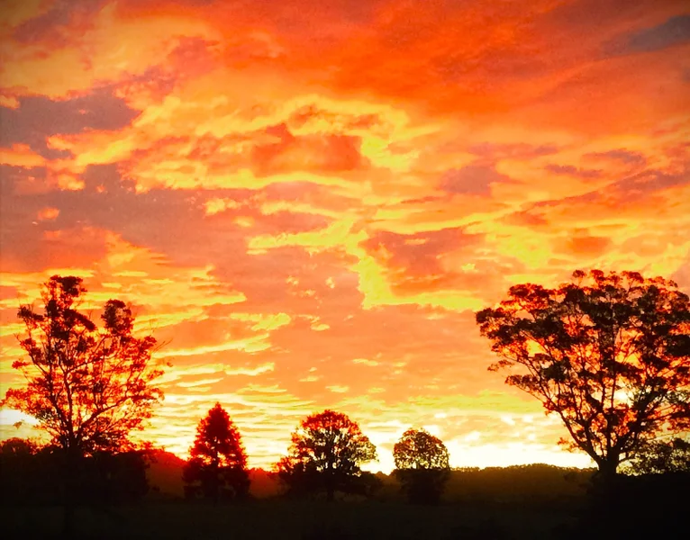 The sky is brush strokes of oranges and red over a landscape of dark trees in the Sunshine Coast hinterland.