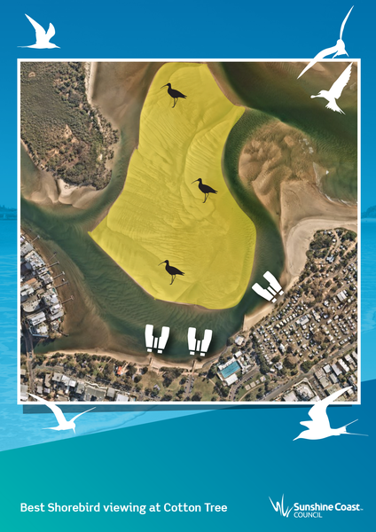 210217_Maps-for-Shorebird-Watching-Cotton-tree_FB.png