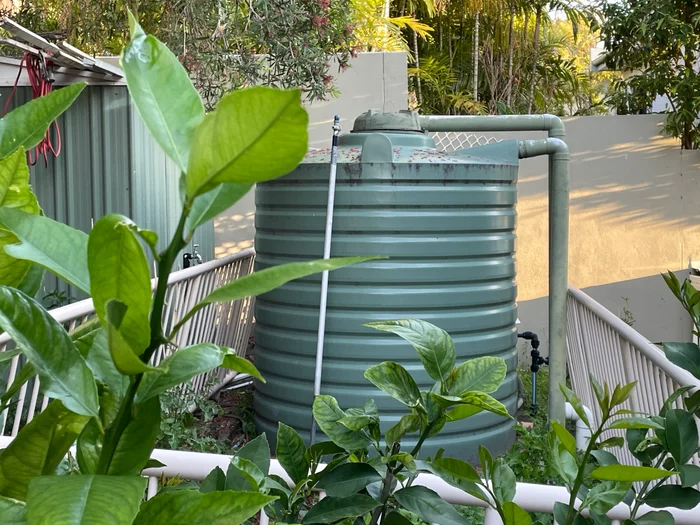 A green water tank surrounded by lush plants.