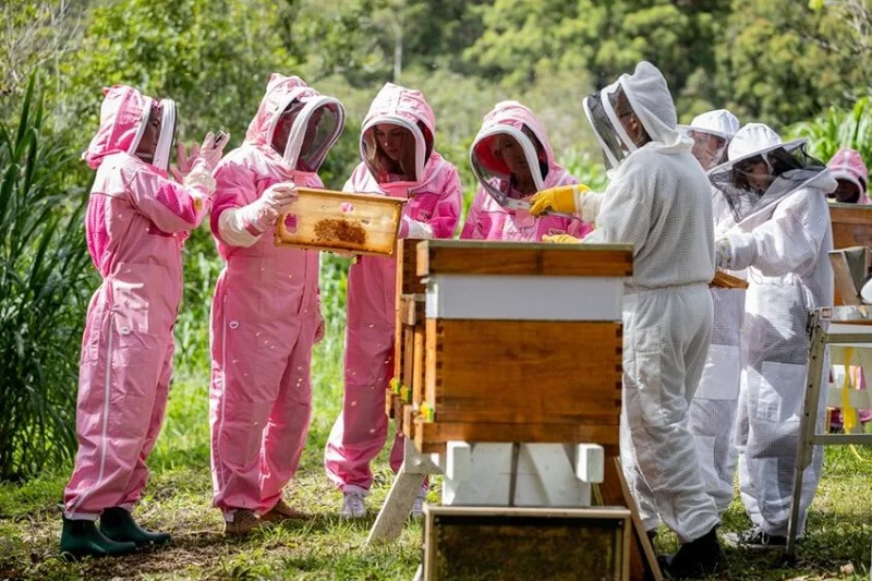 People wearing pink and white safety suits and tending to a bee hive.