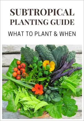 Subtropical-Planting-Guide-What-to-Plant-and-When-frame.jpg