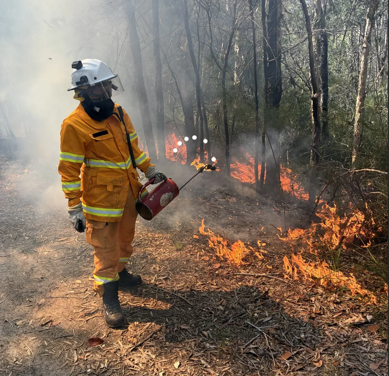 firefighter conducting a planned burn