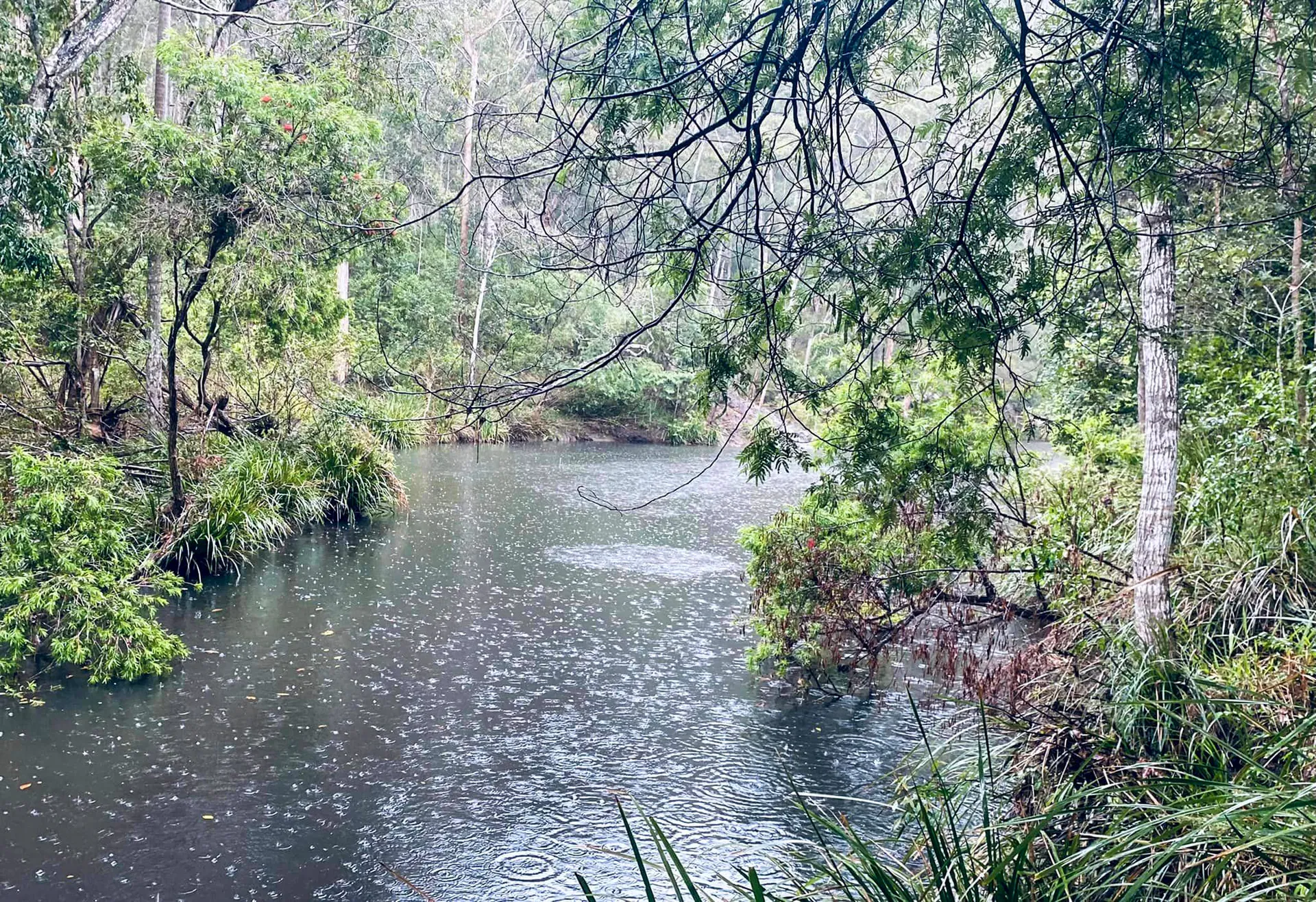 Mapleton National Park – Gheerulla Full Loop Hike