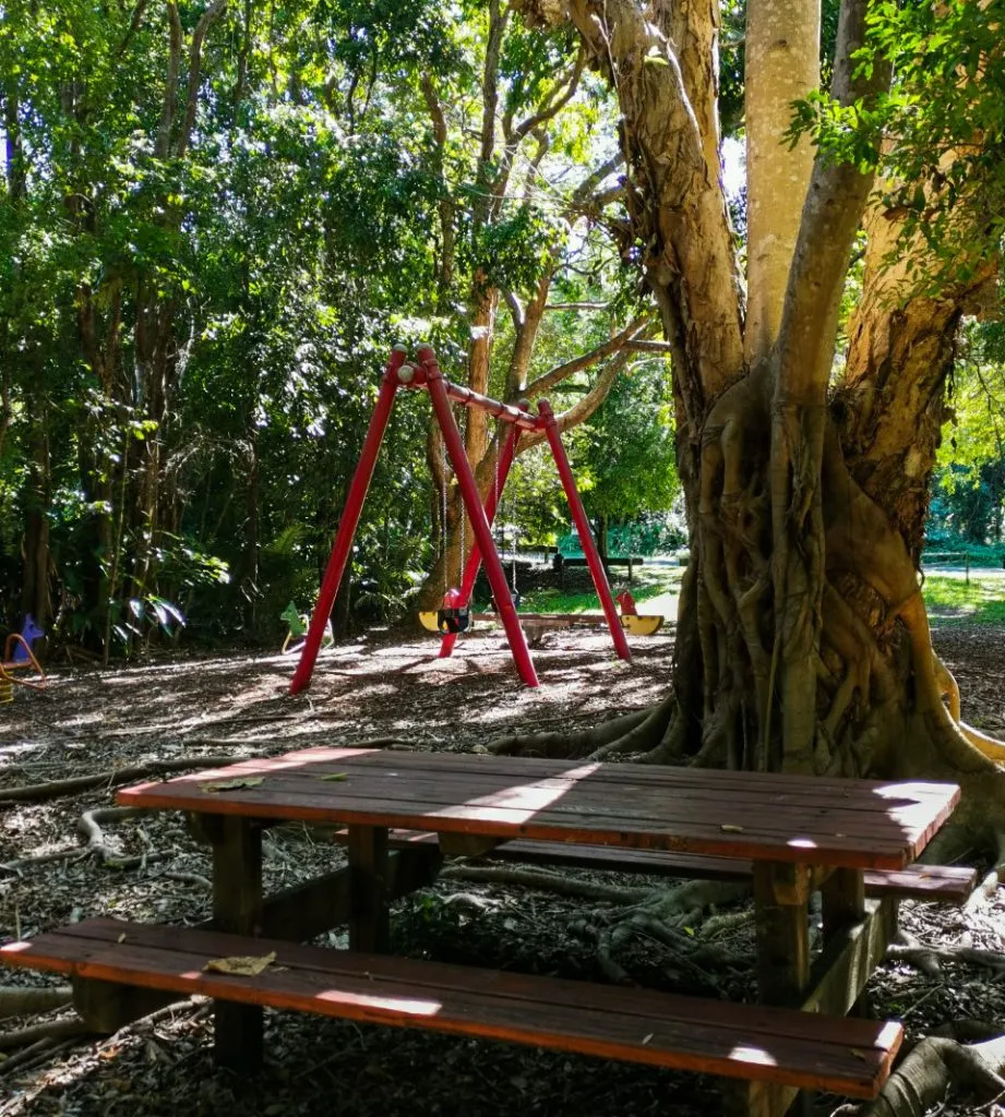 10013_Yaroomba-Bushland-Park-swings_edited-921x1024.jpg