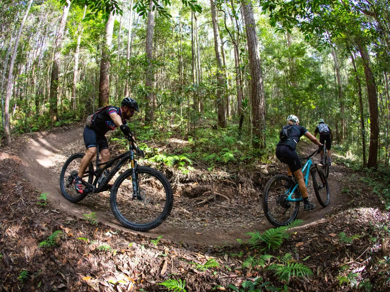 Sunshine%20Coast%20Mountain%20Bike%20Centre%201600x1200px.jpg