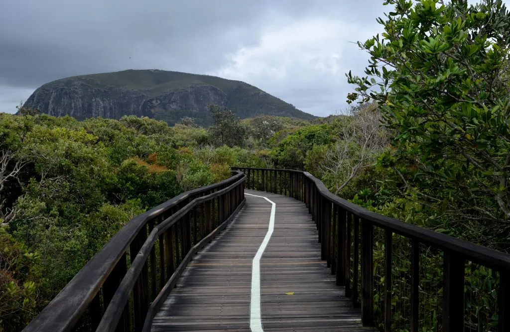 LASKEY_Cody_Boarrdwalk-to-the-mountain-1024x666.jpg