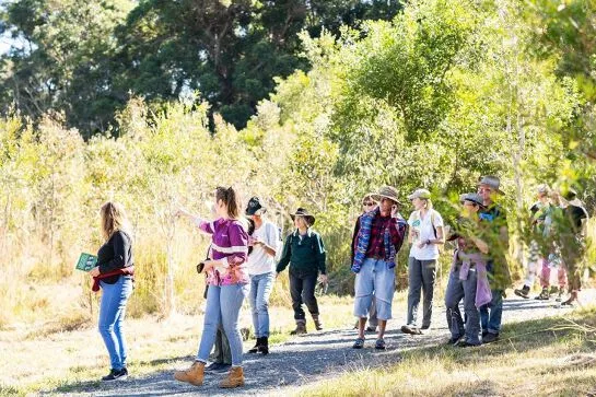 guided walk