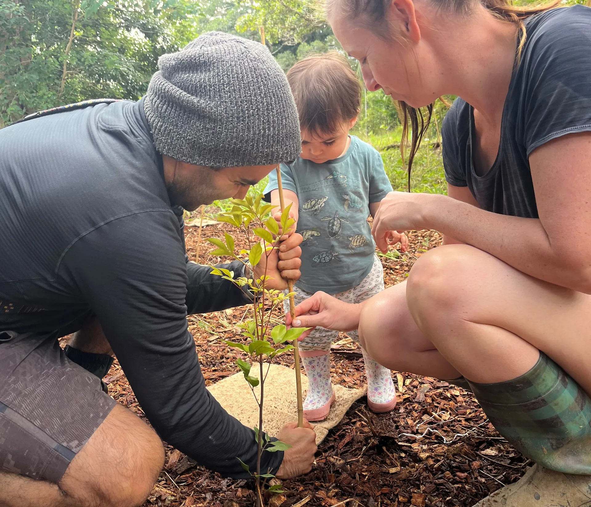 Youth%20Planting%20Day_OurSC.jpg