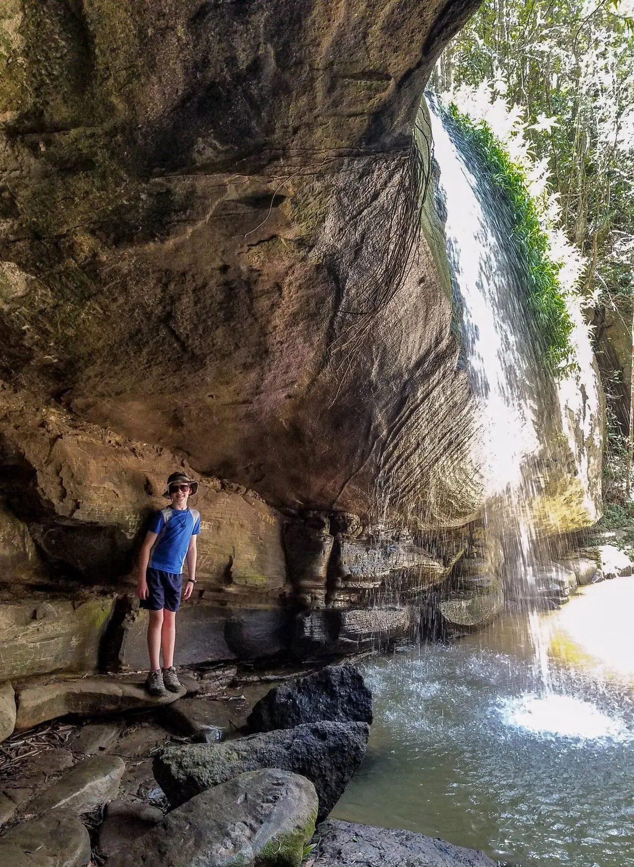 Buderim Forest Park - Falls Loop