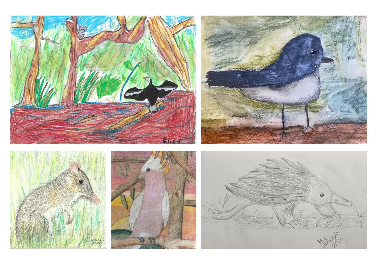 2025 Wild HeART U8 Finalists