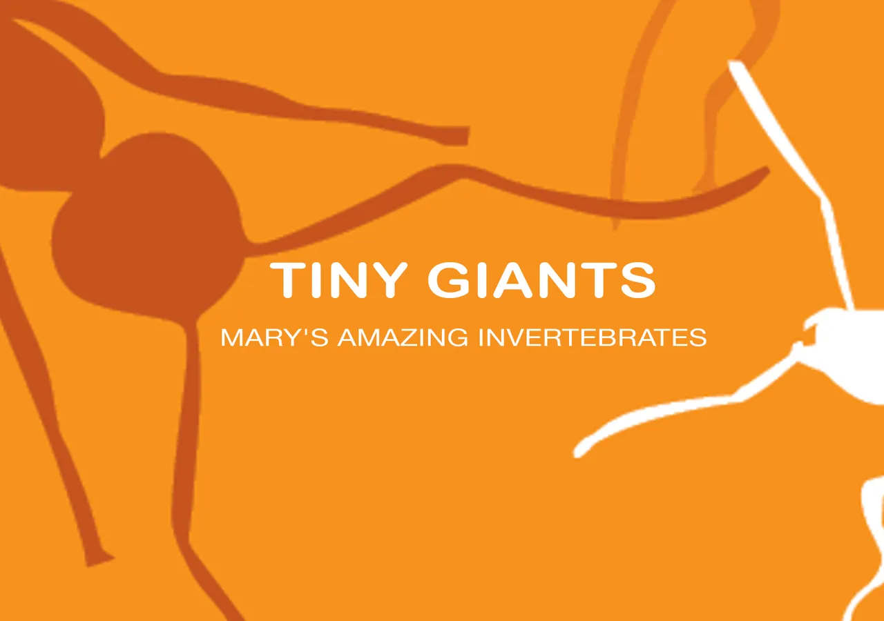 tiny-giants-hero.jpg