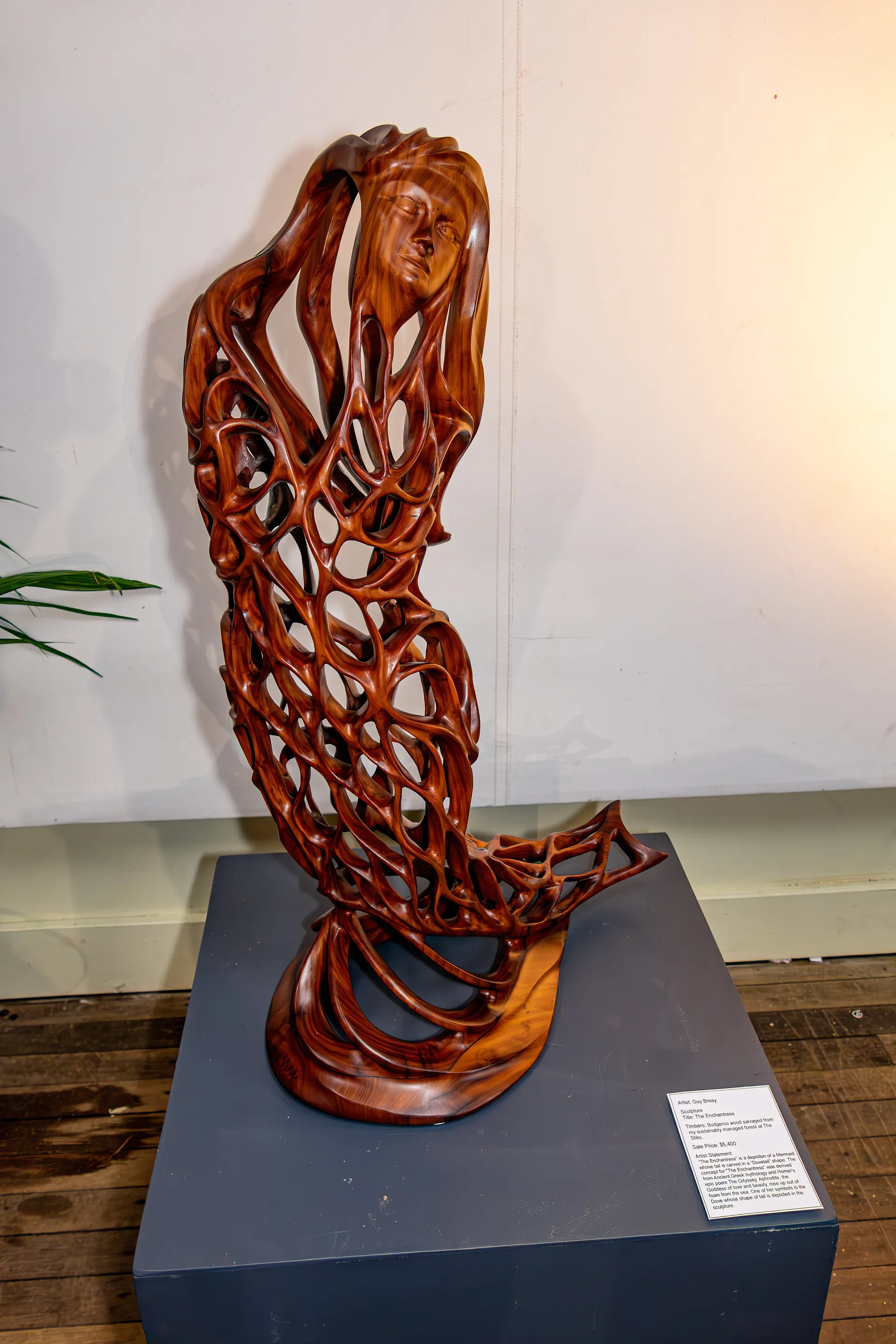 Sculpture _The Enchantress_ by Guy Breay - 2023 entry to Sunshine Coast Wootha Prize - Image by Steve Swayne