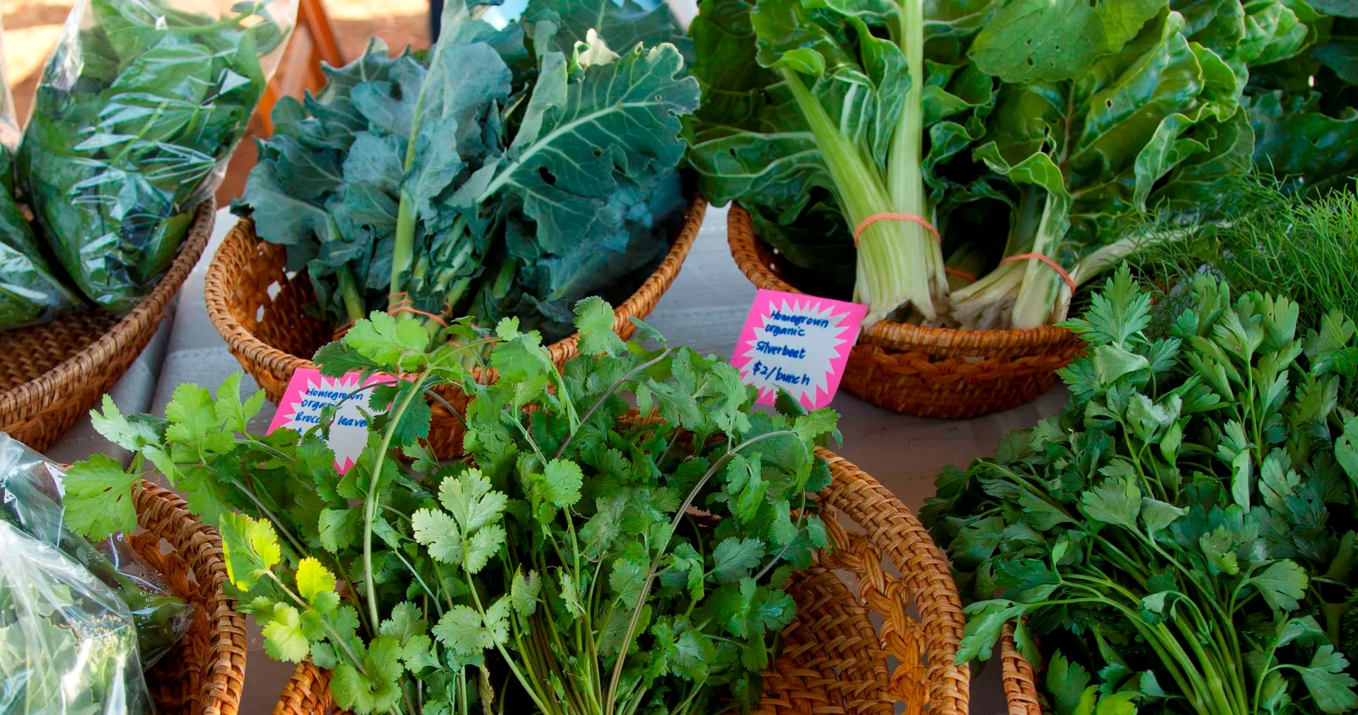 bunches of herbs