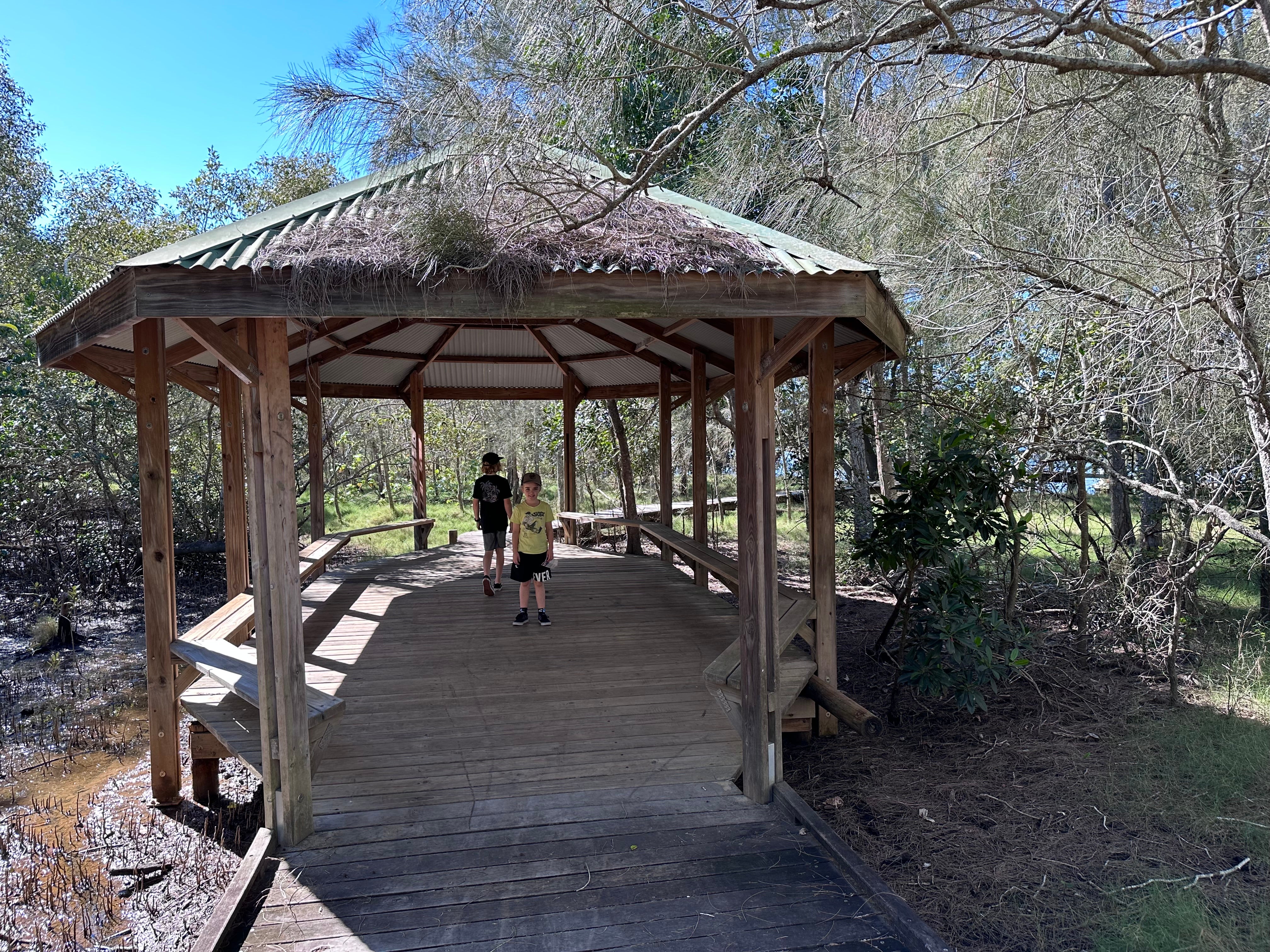 Maroochy%20Wetlands%20Sanctuary%20%2821%29.JPG