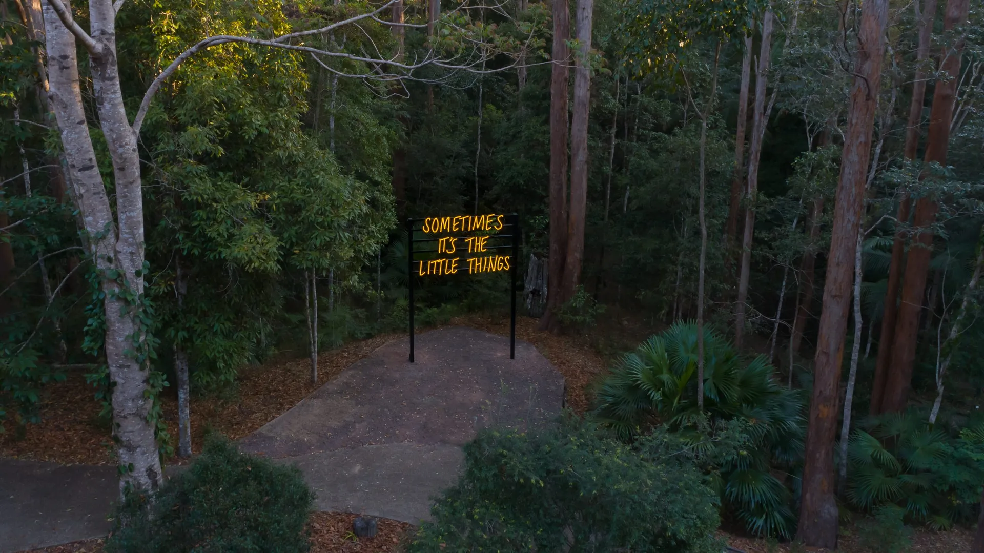 Final Call creative work by Courtney Coombs.