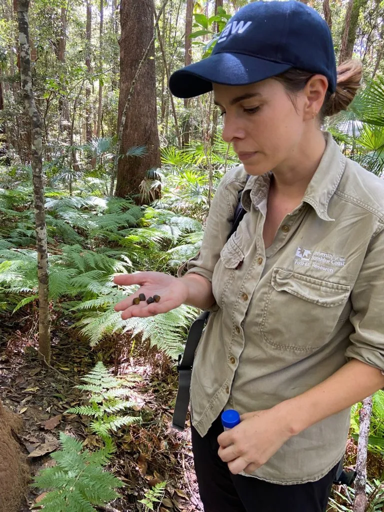 Katrin-from-USC-found-Koala-scat-1-768x1024.jpg
