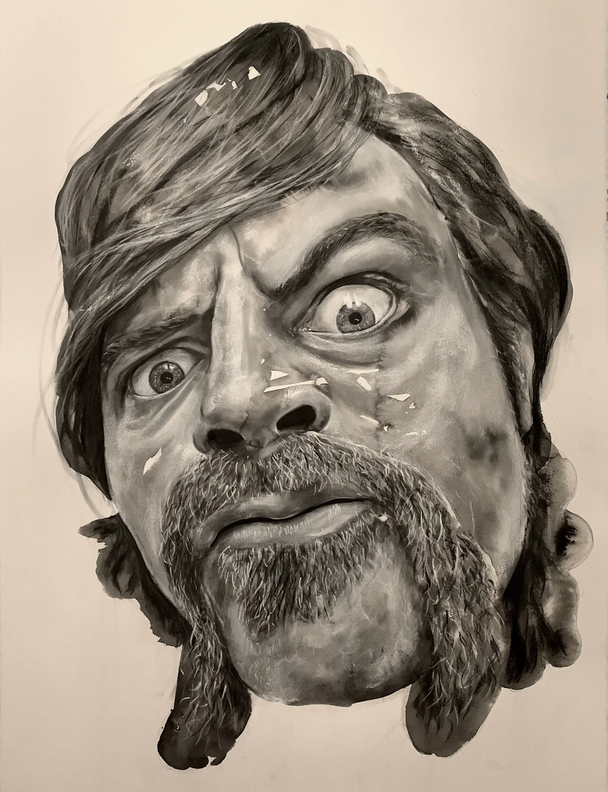 Renewed local art prize showcases region’s best