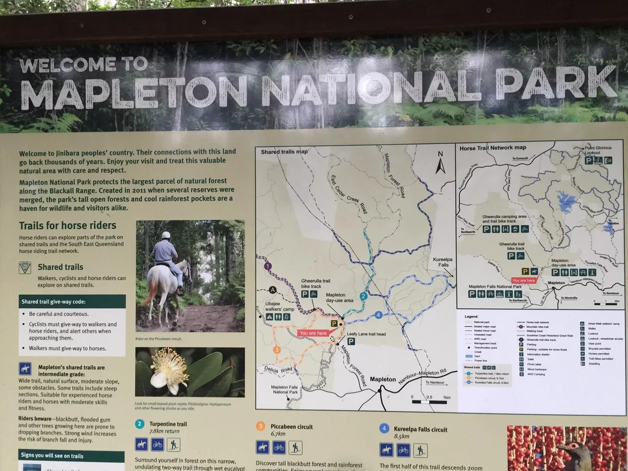 32032_Mapelton%20National%20ParkPiccabeen%20Circut%20IMG_3132.jpg