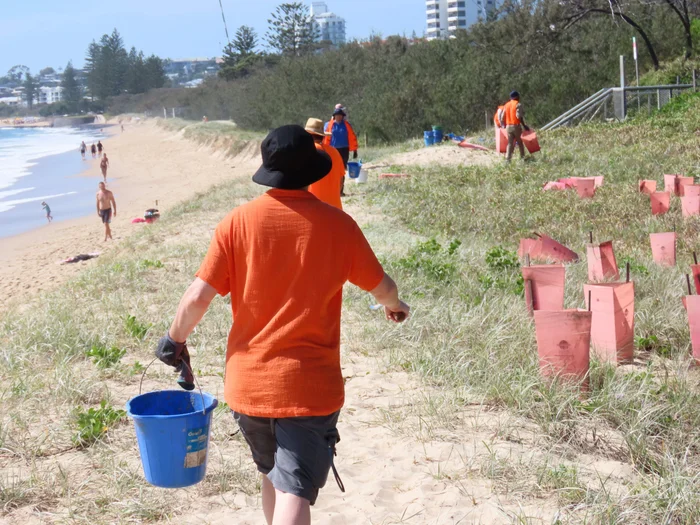 Volunteers wearing orange shirts planting native plants as a lasting legacy to acknowledge victims of domestic and family violence on the Sunshine Coast.
