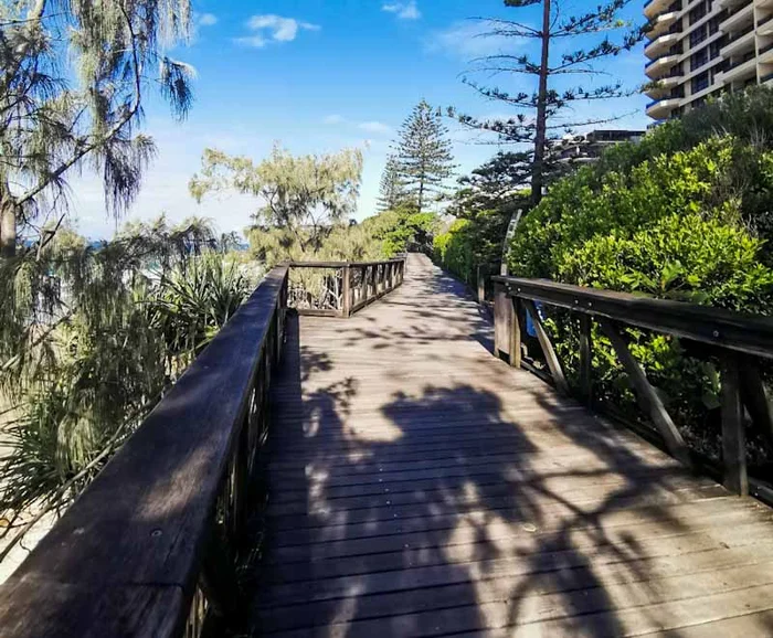 TOP 5 Sunshine Coast Accessible Adventures