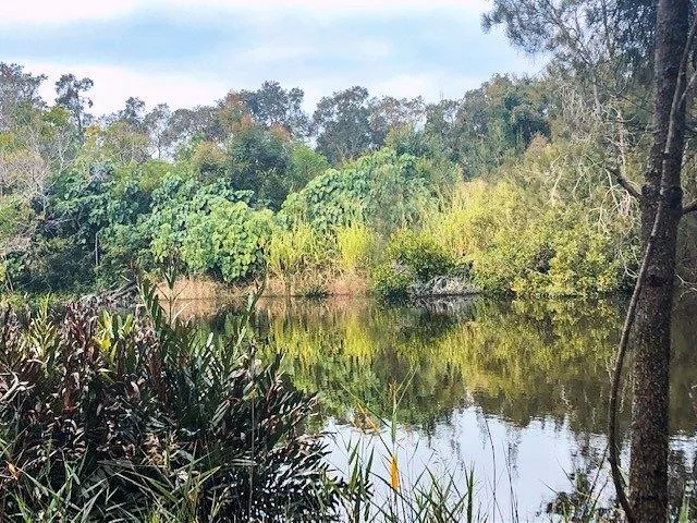 Stumers Creek to Magenta Drive Park, Coolum