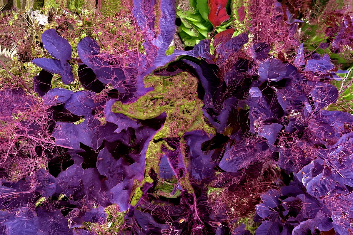 The Brothers Gruchy Artist Talk