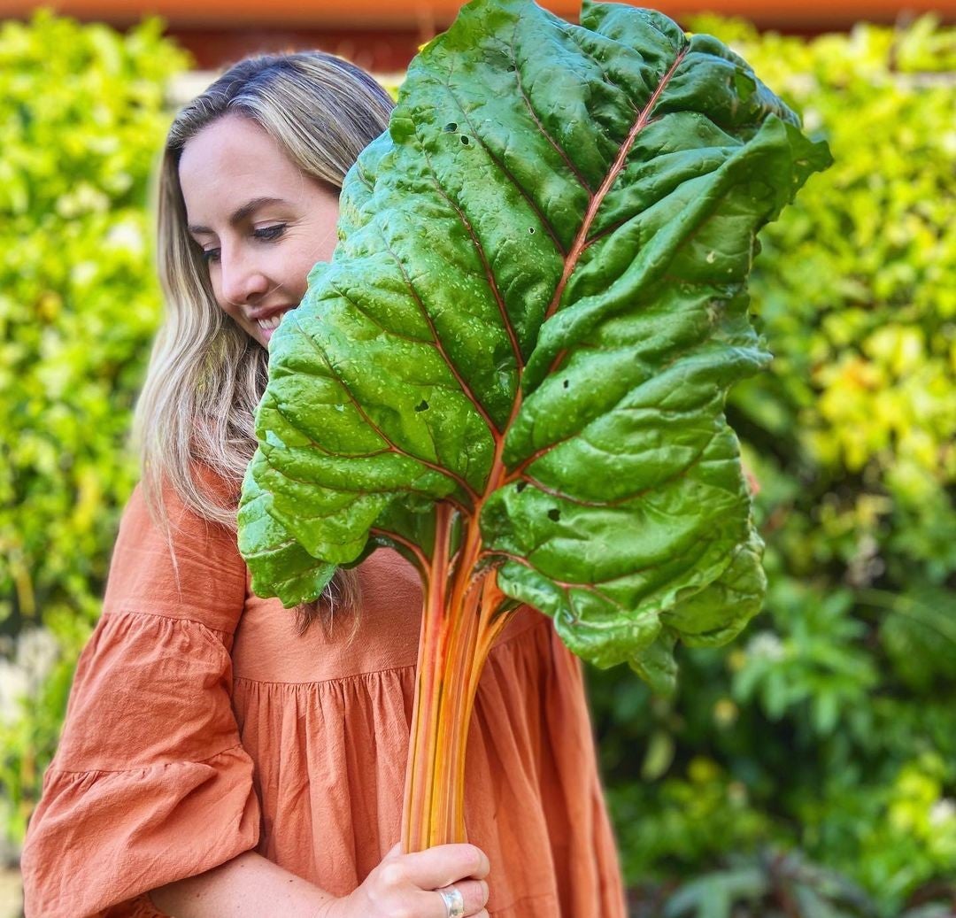 2023 Biggest Vegetable Award honourable mention - @_welcometomygarden