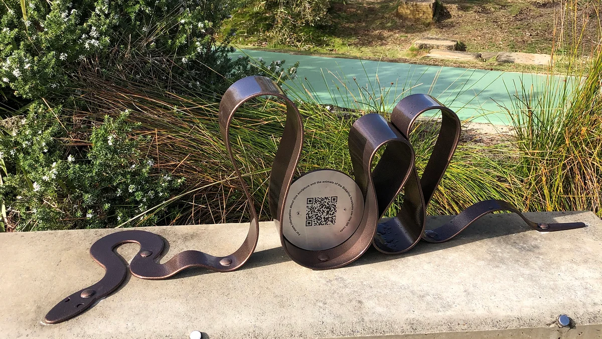 Reptiles of the Bokarina Wallum and Foreshore