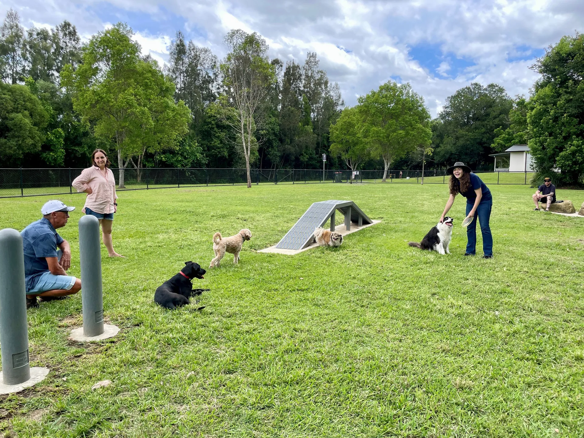 People and dogs using agility equipment at dog park