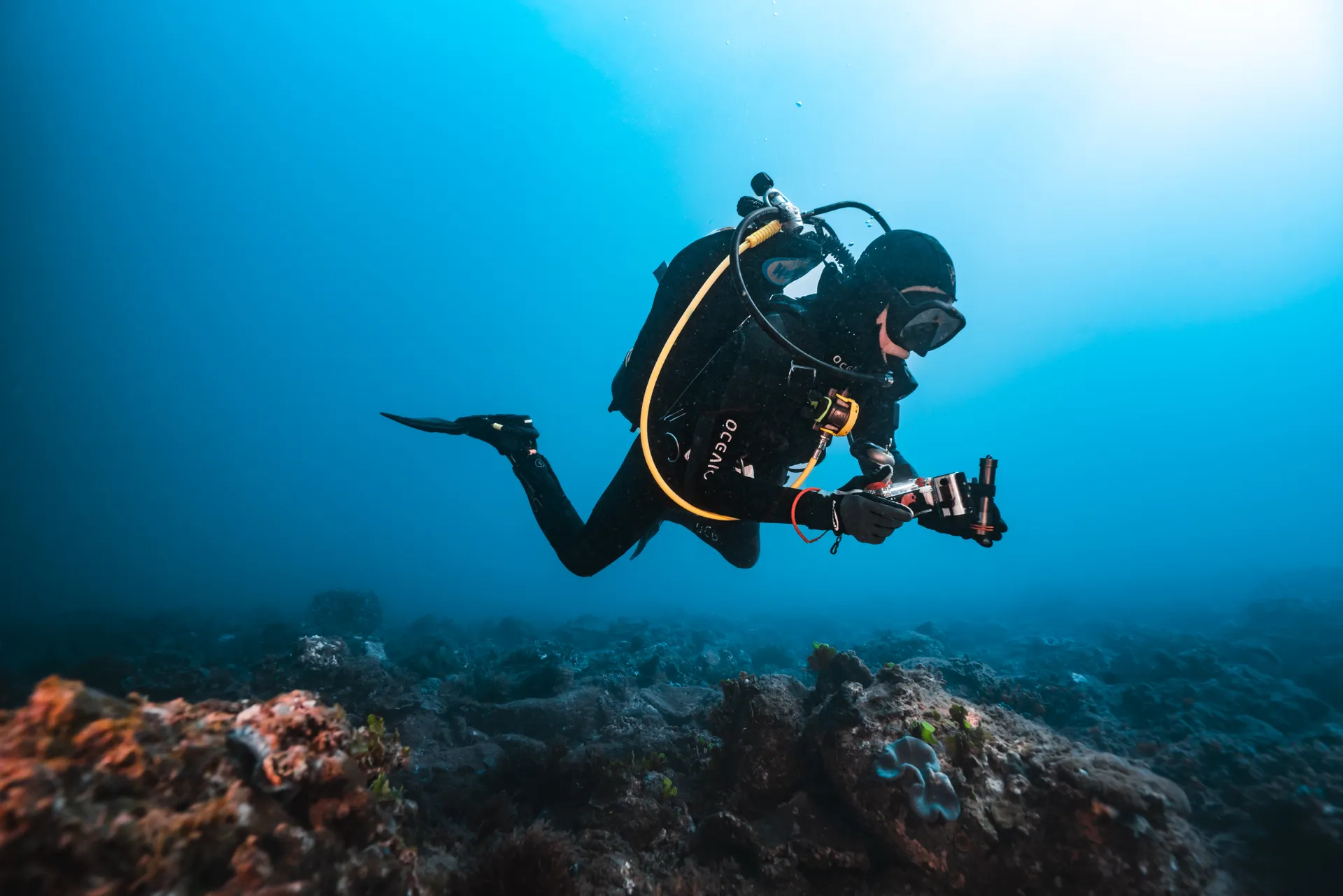 Diver photographing coral