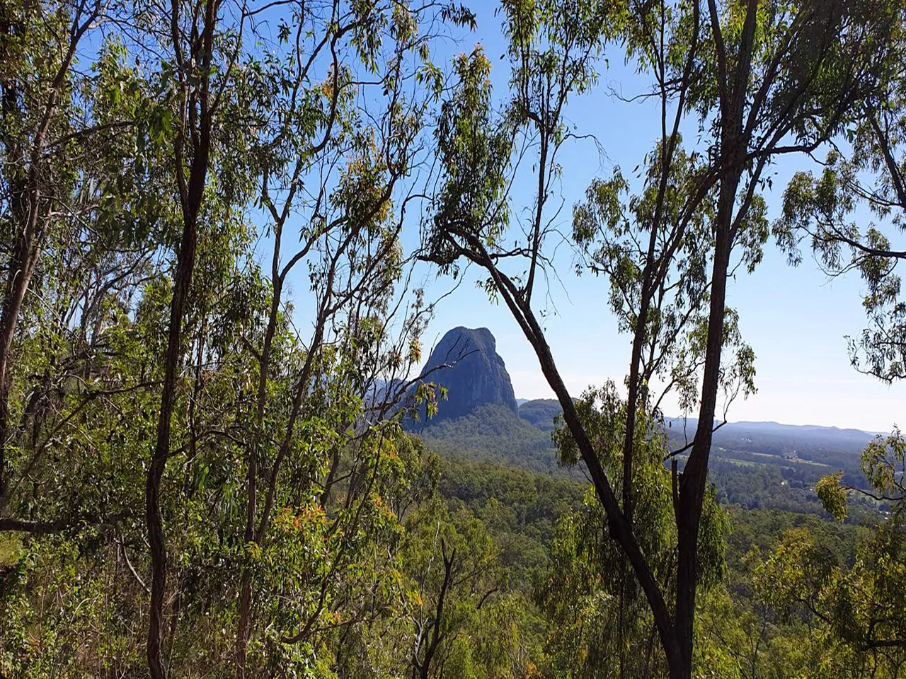 Yul-yan-man Track at Beerburrum