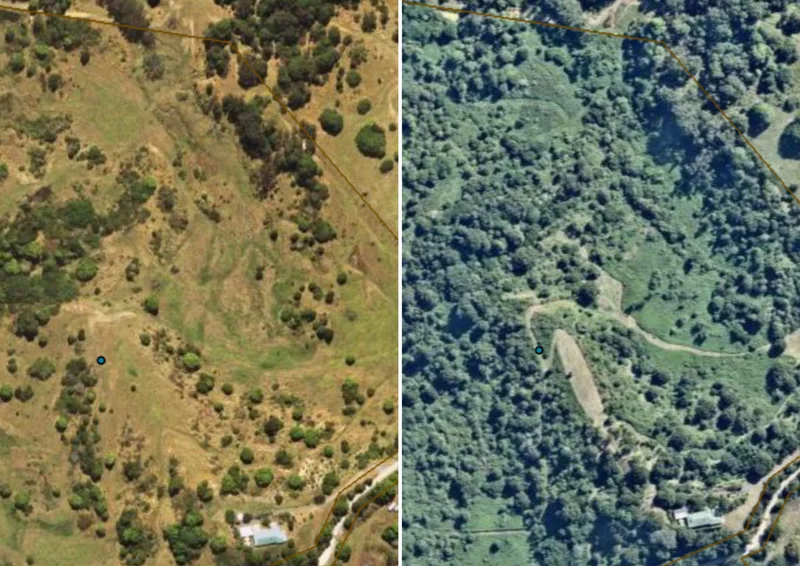 Bald-Knob-tree-transformation-Before-left-and-after-10-years-right.--scaled.jpg