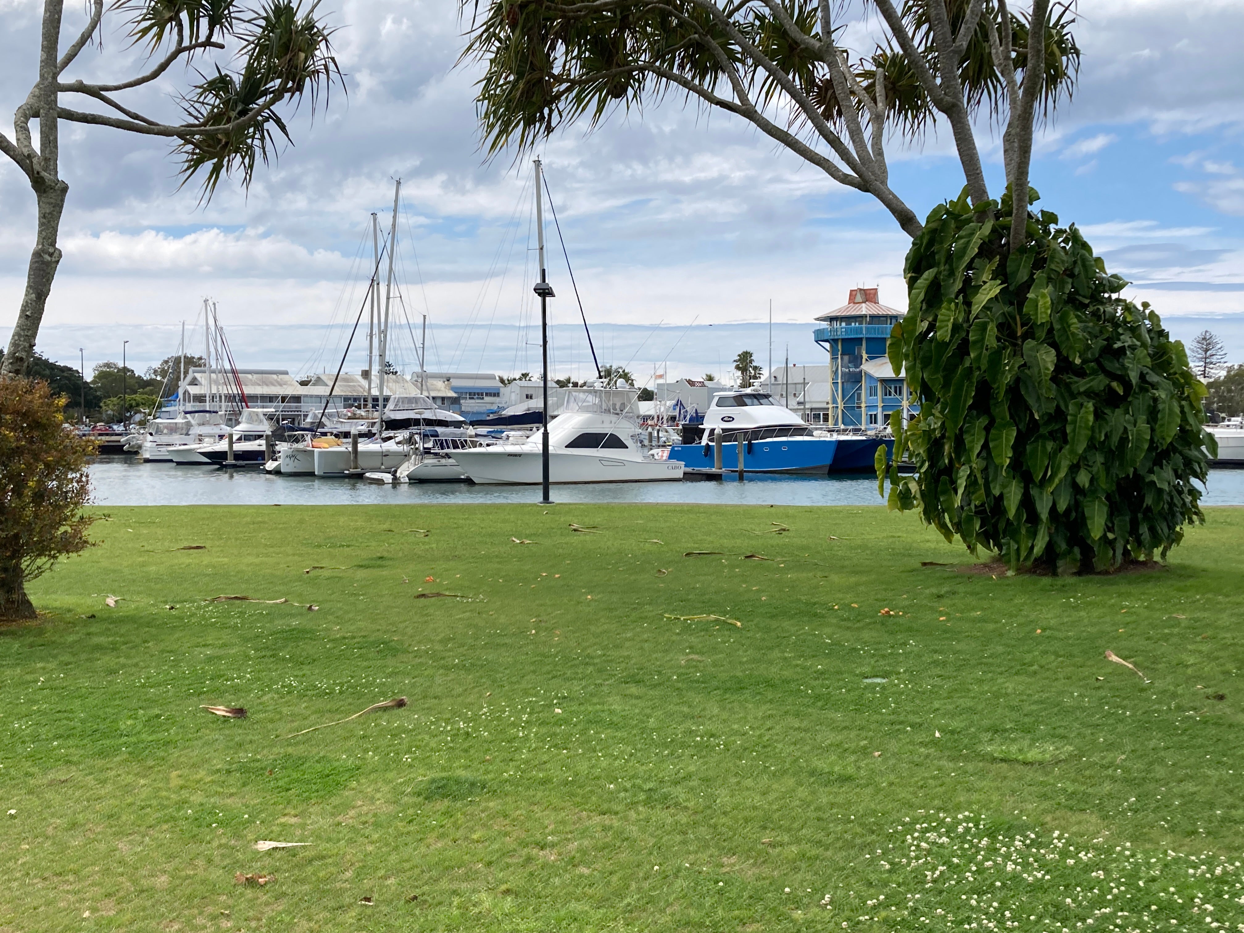 Cloud-based irrigation system used at Charles Clarke Park in Mooloolaba.