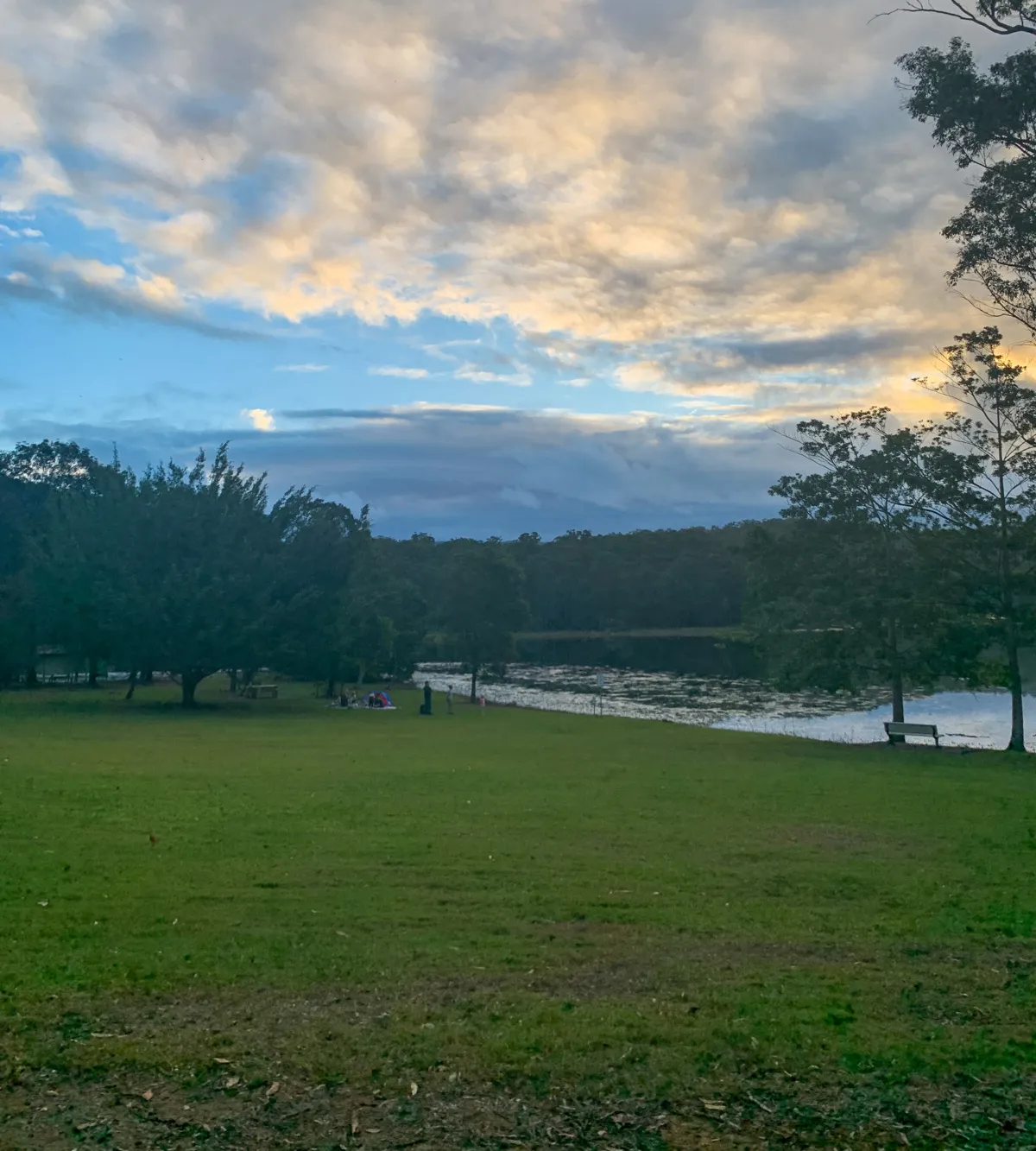 Wappa Dam and Falls