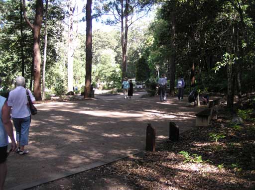 Maroochy Regional Bushland Botanic Garden - Visitor information ...